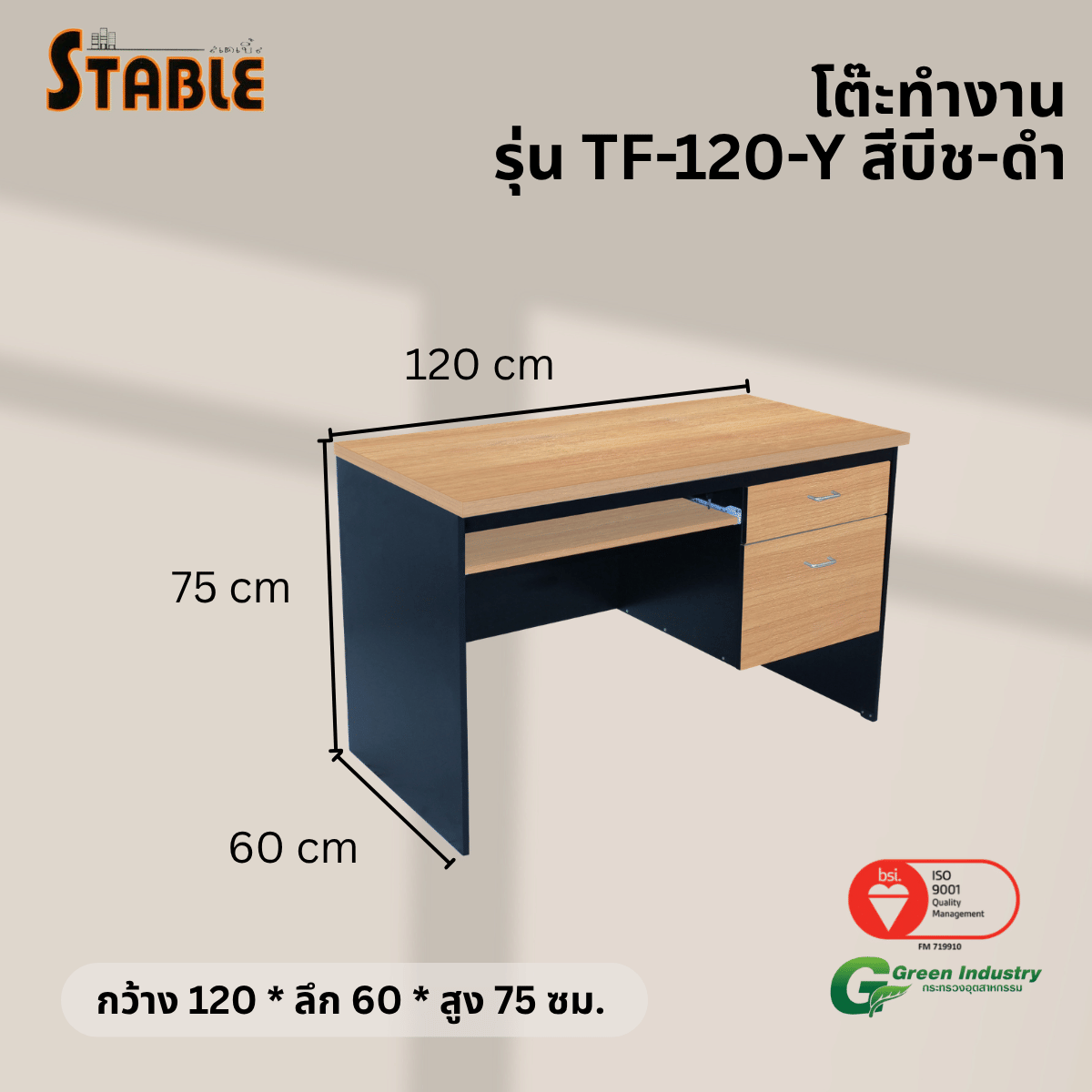 โต๊ะคอมพิวเตอร์ STABLE รุ่น TF-120-Y 120 ซม. สีบีช-ดำ